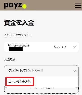 Payz 入金