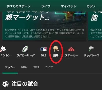 スポーツブックメーカー 競馬 賭け方