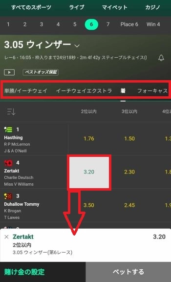 ブックメーカー 競馬 買い方