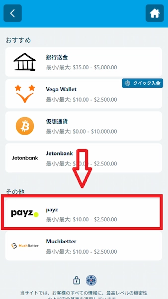 オンラインカジノ Payz 入金