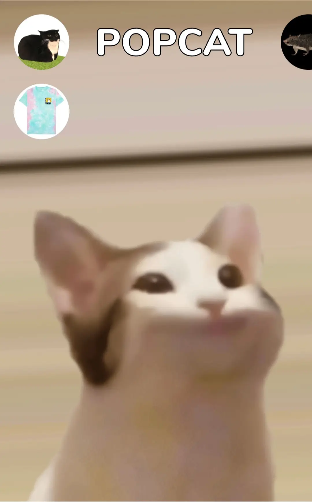 Popcat（POPCAT）公式サイト